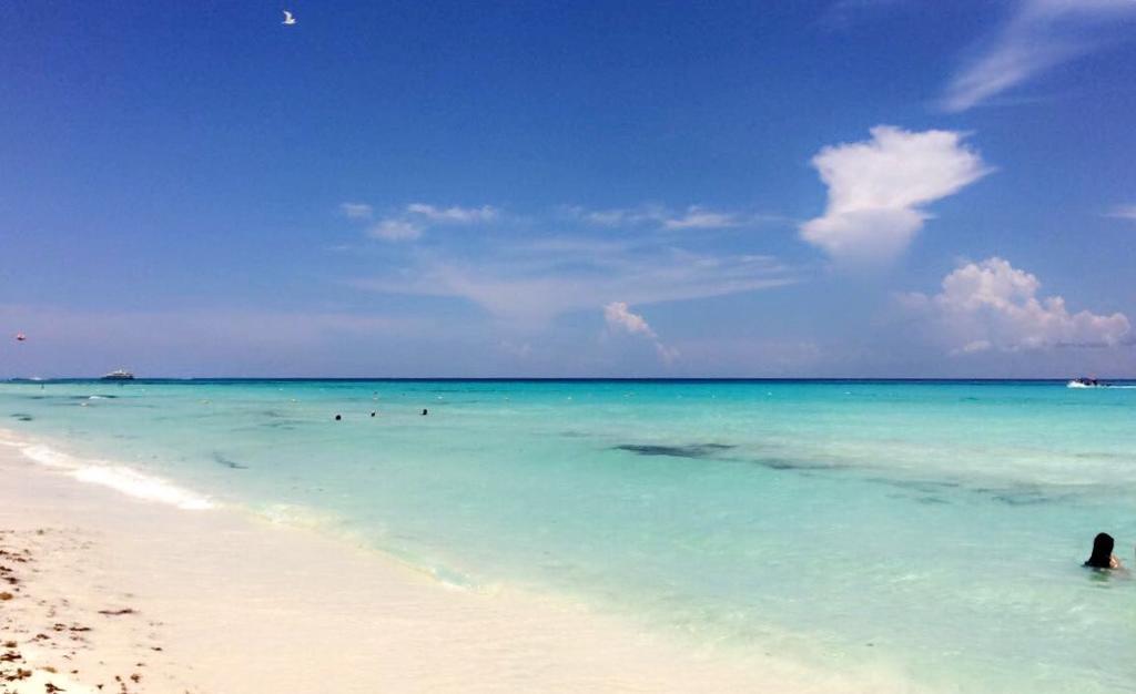 Luxury 5Th Avenue Menesse 32 Apartment Playa del Carmen Luaran gambar