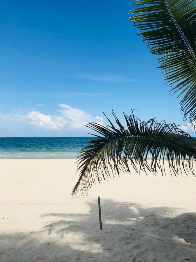 Luxury 5Th Avenue Menesse 32 Apartment Playa del Carmen Luaran gambar
